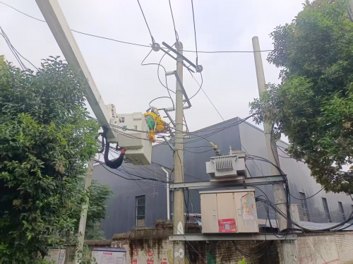 河南项城:“电引擎”不停歇 矢志守护粮归仓 河南项城:“电引擎”不停歇 矢志守护粮归仓