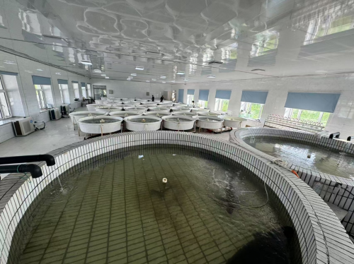 湖南科技大学碧水悦渔小队深耕冷水鱼养殖基