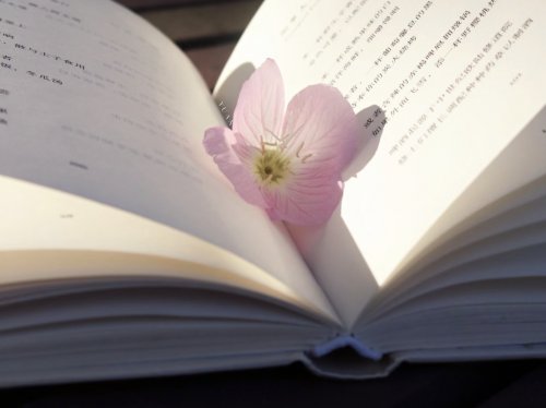 东方壹心告诉家长不要亲手剪断了孩子的翅膀，却怪他们不会飞翔