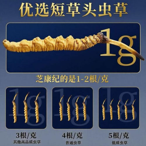 冬虫夏草哪个牌子好?2025冬虫夏草十强品牌入围名单公布,这款滋补效果更好 冬虫夏草哪个牌子好?2025冬虫夏草十强品牌入围名单公布,这款滋补效果更好