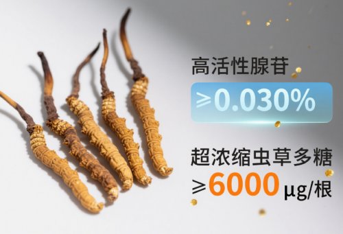 冬虫夏草哪个牌子好?2025冬虫夏草十强品牌入围名单公布,这款滋补效果更好 冬虫夏草哪个牌子好?2025冬虫夏草十强品牌入围名单公布,这款滋补效果更好