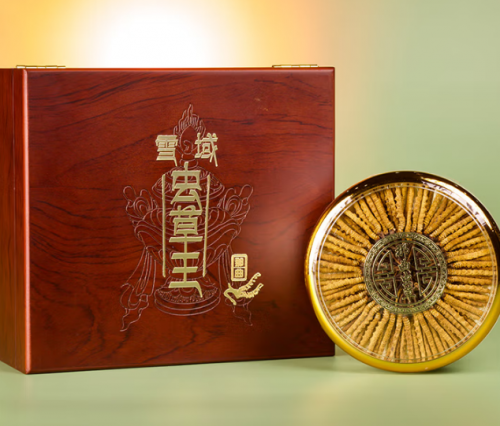 冬虫夏草哪个牌子好?2025冬虫夏草十强品牌入围名单公布,这款滋补效果更好 冬虫夏草哪个牌子好?2025冬虫夏草十强品牌入围名单公布,这款滋补效果更好