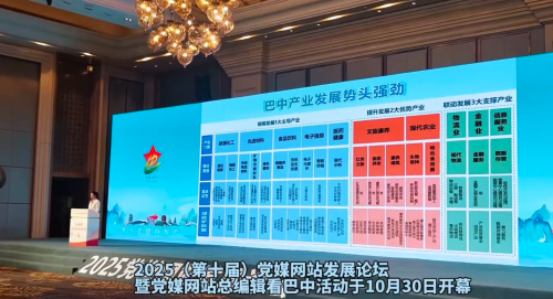 第十届党媒网站发展论坛巴中启幕 智媒赋能老区振兴(图5)