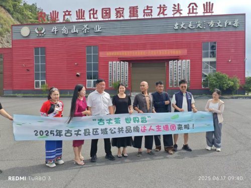 千年茶乡香飘四海 古丈品牌出海启新程 2025年古丈县区域公共品牌线上宣传推广销售活动