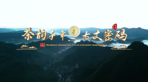 千年茶乡香飘四海 古丈品牌出海启新程 2025年古丈县区域公共品牌线上宣传推广销售活动