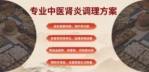 【中华疑难病名家】鄢建军50年肾病诊疗:清络保肾疗法破解肌酐高、尿蛋白难题 【中华疑难病名家】鄢建军50年肾病诊疗:清络保肾疗法破解肌酐高、尿蛋白难题