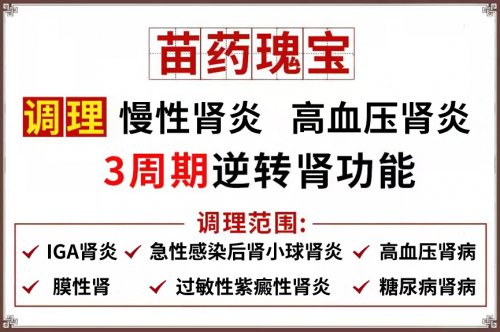 【中华疑难病名家】鄢建军50年肾病诊疗:清络保肾疗法破解肌酐高、尿蛋白难题 【中华疑难病名家】鄢建军50年肾病诊疗:清络保肾疗法破解肌酐高、尿蛋白难题