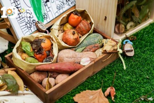 花园十载·共情绽放  ——记杭州市花园幼儿园十周年园庆活动