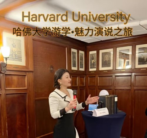 2025 年 3 月纽约联合国总部 周慧灵斩获全球杰出女性奖闪耀第 69 届妇女地位委员会 2025 年 3 月纽约联合国总部 周慧灵斩获全球杰出女性奖闪耀第 69 届妇女地位委员会