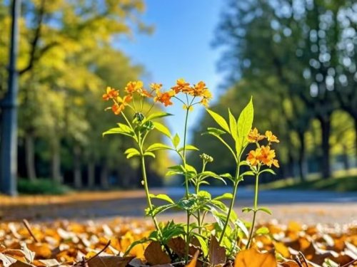 当孩子说“我不行”：一位家长重建孩子自信心的行动指南——东方壹心