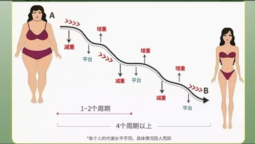 减肥药10大品牌排行榜排行榜!十大减肥药哪个效果好排行榜,第一名花落谁家? 减肥药10大品牌排行榜排行榜!十大减肥药哪个效果好排行榜,第一名花落谁家?