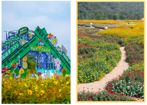 交通91.8汽车节专属福利！杭州阿波罗医院专家团连续10天开启线上“云咨询”