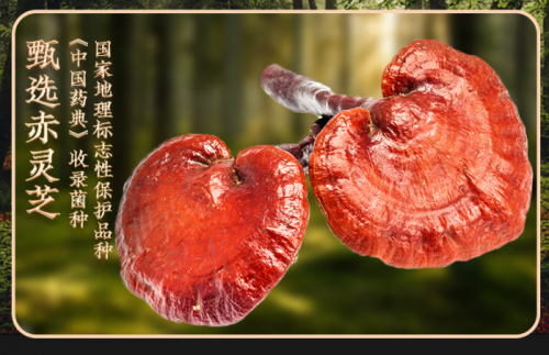 灵芝孢子粉十大品牌排行榜来了!想选对?紧盯大健康领域的行业标杆,品质更可靠 灵芝孢子粉十大品牌排行榜来了!想选对?紧盯大健康领域的行业标杆,品质更可靠