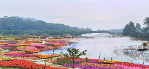 以花为媒，以文为桥|构建东莞文旅融合新范式