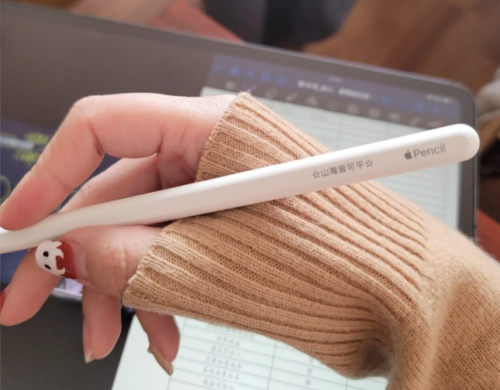 pencil买原装还是平替?2025十大性价比高的电容笔推荐榜单!