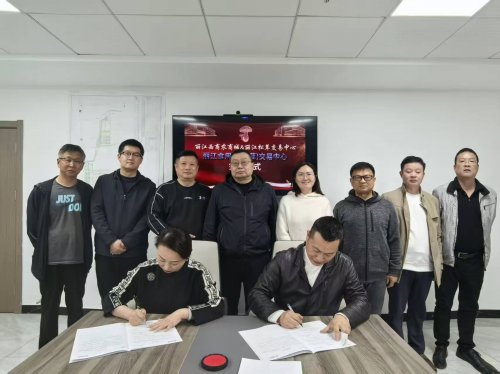 专业交易平台赋能丽江食用菌产业