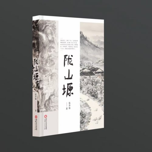 《陇山塬》纸书销售突破千本大关，宁夏乡土文学逐渐走向全国