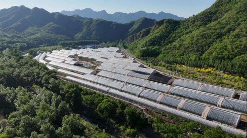 深化数字技术应用 马连道村释放便民数字红利 深化数字技术应用 马连道村释放便民数字红利