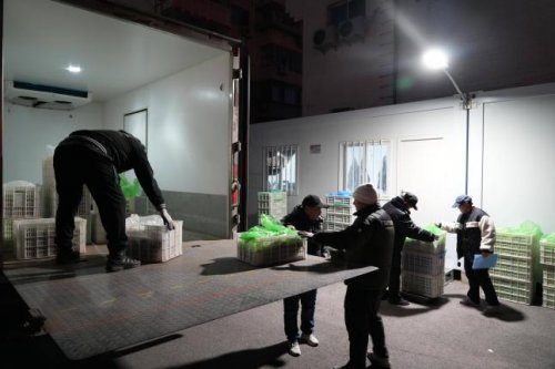 深化数字技术应用 马连道村释放便民数字红利 深化数字技术应用 马连道村释放便民数字红利