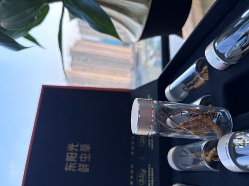 冬季养生正当时，东阳光鲜虫草以生态繁育定义“鲜滋补”新标准