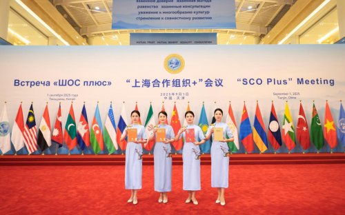 三百年制茶世家的资本答卷:八马茶业上市背后的三重飞轮 三百年制茶世家的资本答卷:八马茶业上市背后的三重飞轮