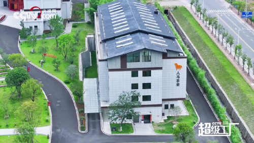 三百年制茶世家的资本答卷:八马茶业上市背后的三重飞轮 三百年制茶世家的资本答卷:八马茶业上市背后的三重飞轮