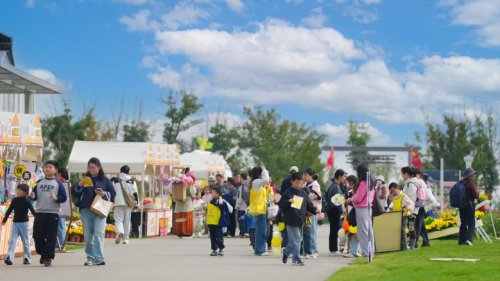 花事告一段落，秋意留在全椒 ——全椒菊博园首届菊花展 · 收官记