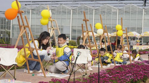 花事告一段落，秋意留在全椒 ——全椒菊博园首届菊花展 · 收官记