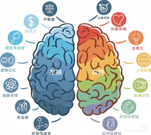 脑疲劳、记性差？这款“脑燃料” 小分子肽火了！科研证实：3 大核心力守护脑健康