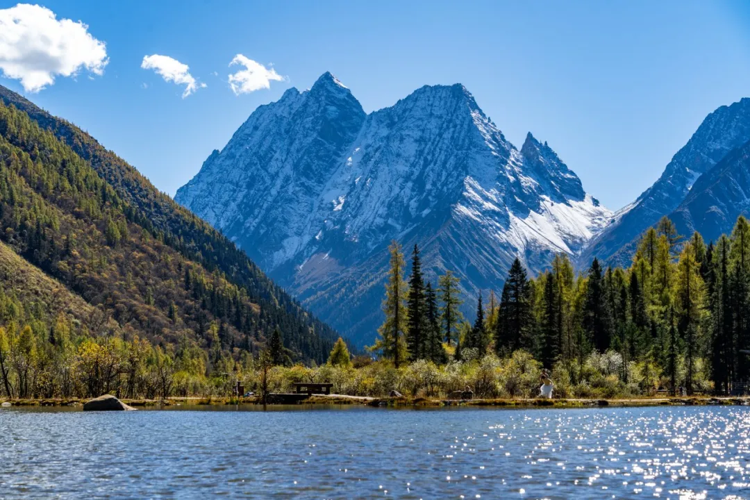 千年舟草木萃系列，于天然清芬中，尋得身心歸處