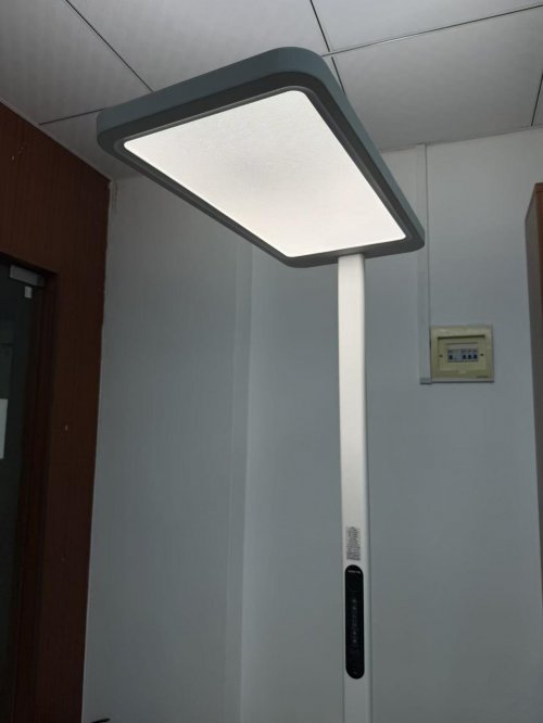 双十二到底买啥?10 款闭眼入的爆款好物,一定别错过!