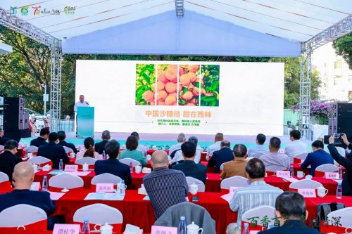 百香百色对接活动粤桂情深共谋发展