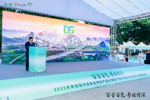 百香百色对接活动粤桂情深共谋发展