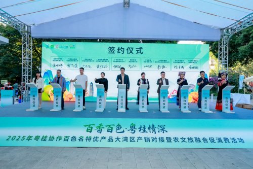 百香百色对接活动粤桂情深共谋发展