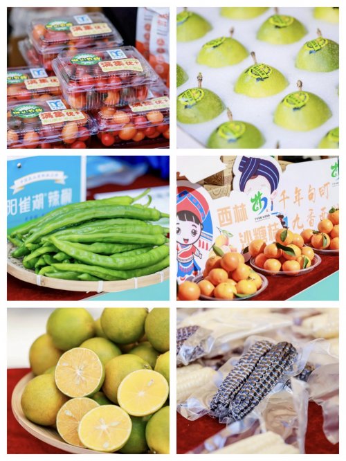 百香百色对接活动粤桂情深共谋发展