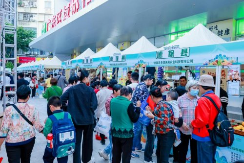 百香百色对接活动粤桂情深共谋发展