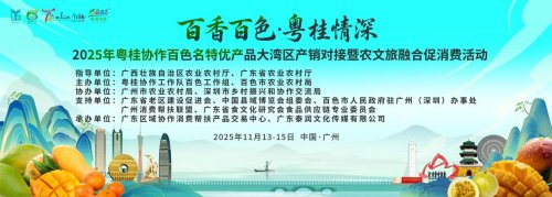 百香百色对接活动粤桂情深共谋发展