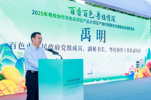 百香百色对接活动粤桂情深共谋发展