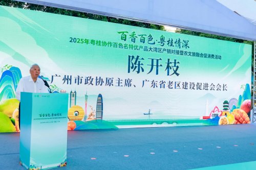 百香百色对接活动粤桂情深共谋发展