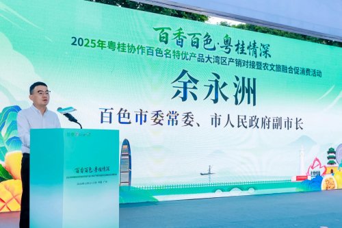 百香百色对接活动粤桂情深共谋发展