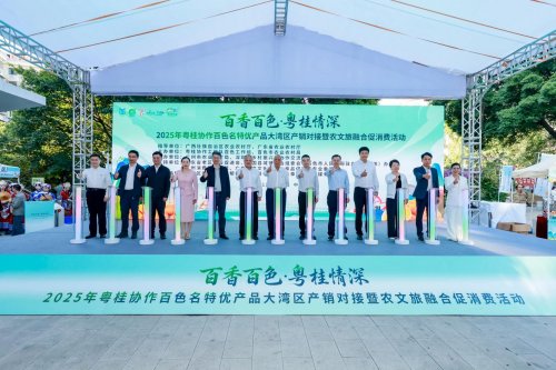 百香百色对接活动粤桂情深共谋发展