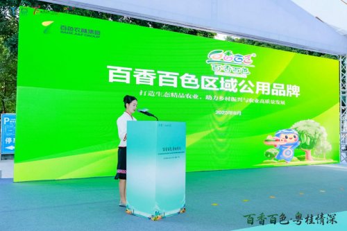 百香百色对接活动粤桂情深共谋发展