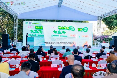 百香百色对接活动粤桂情深共谋发展