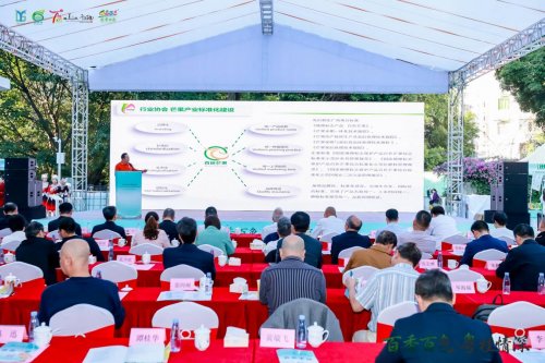 百香百色对接活动粤桂情深共谋发展