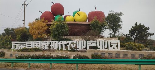 小苹果干出大事业 乡村振兴谱新篇