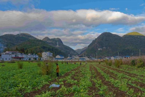 四象衡甄选：解锁硒都马尔科小土豆的正宗密码