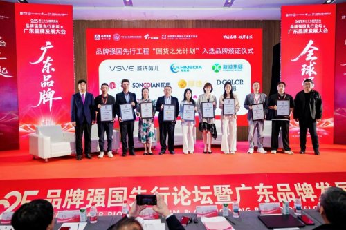 全球崛起！2025品牌强国先行论坛暨广东品牌发展大会在深圳高交会举行