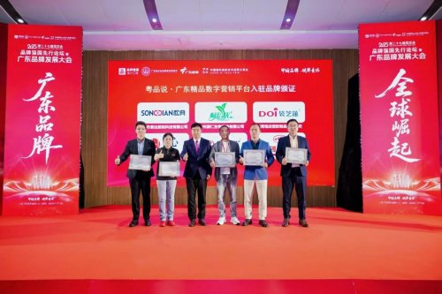 全球崛起！2025品牌强国先行论坛暨广东品牌发展大会在深圳高交会举行