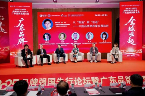 全球崛起！2025品牌强国先行论坛暨广东品牌发展大会在深圳高交会举行