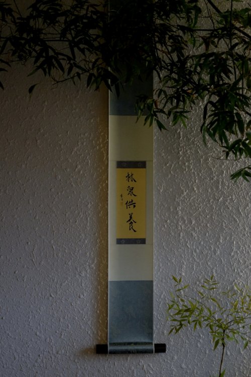 嶺南‖敦煌畫院授牌暨雲境雅集